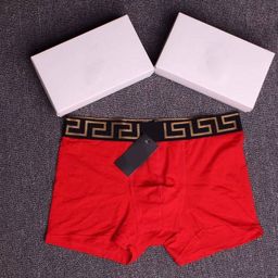 thumbnail for Men&#039s Cotton Boxer Panties