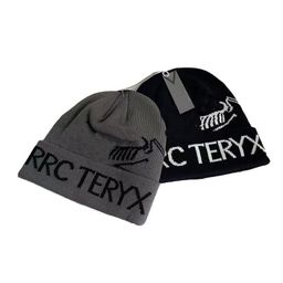 thumbnail for Autumn and winter: R letter jacquard beanie, thickened large version of the cuffed men's and women's versatile warm pullover hat, bird cold hat~