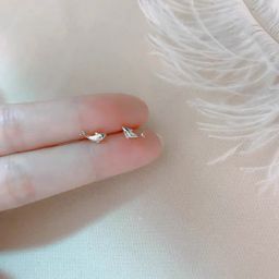 thumbnail for Mini Invisible 925 Silver Earrings 2025 New Earrings Niche Design Ear Bone Nail Ear Holes Earrings for Women