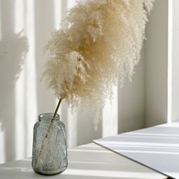 thumbnail for Large Reed Dried Flower Pampas Grass Decoration Wedding Amazon Panpan Grass Cross-Border Wholesale Natural Temu Xiyin Ozon