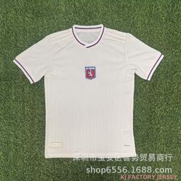 thumbnail for 25-26 Season Ligue 1 Lyon Special Edition Fan Version Football Jersey Short-Sleeved Top Football Uniform