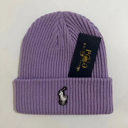 thumbnail for Winter pony embroidery woolen hat unisex trendy European and American simple knitted hat outdoor warm and cold-proof pullover hat