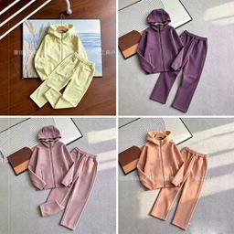 thumbnail for 26 Spring and Autumn New Casual Sports Air Layer Hooded Jacket and Sweatpants Set 454 and 461