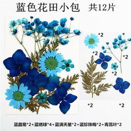 thumbnail for Triumphant diy glue drop mold plant dried flower embossed material real flower leaf specimen bookmark Amazon