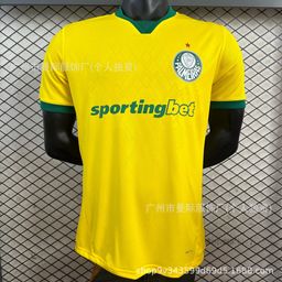 thumbnail for Brazilian league players Flamengo Palmeiras São Paulo Corinthians Brazil Santos football jerseys