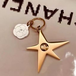 thumbnail for Xiaoxiangjia camellia star metal earrings, light luxury fashion earrings, trendy earrings, personalized earrings, women's high-end