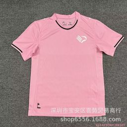 thumbnail for 25-26 Season Palermo Home and Away Two Away Fan Version Football Jersey Short-Sleeved Top Football Uniform