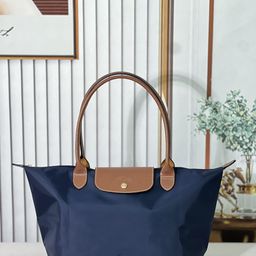 thumbnail for Fashion Dumpling Bag Classic Large Long Shoulder Strap Underarm Bag Hand-held Nylon Waterproof Multicolor Factory in stock
