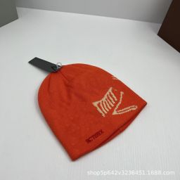 thumbnail for Autumn and winter: R letter jacquard beanie, thickened large version of the cuffed men's and women's versatile warm pullover hat, bird cold hat~