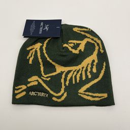 thumbnail for Cross-border Amazon Hot Letter Knitted Hat European and American Autumn and Winter Dinosaur Pattern Warm Pullover Hat in stock Wholesale