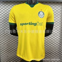 thumbnail for 新款巴西联赛足球服球员科林蒂安帕尔梅拉斯弗拉门戈圣保罗桑托斯