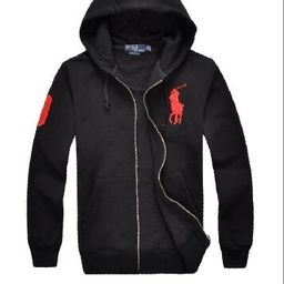 thumbnail for Cross-border zipper sweatshirt men's autumn hoodie heavy trendy brand new pony mark embroidered men's cardigan sweatshirt jacket