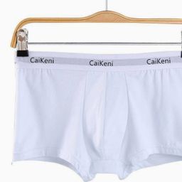 thumbnail for c home 365 new boxer men's cotton boxer square underwear one drop shipping comfort