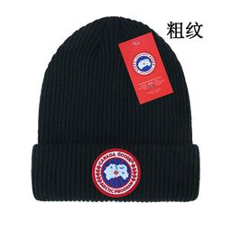 thumbnail for Woolen hats, cross-border women's winter big head circumference, autumn and winter, outdoor embroidery, warm pullover, foreign trade knitted hats, men's cold hats