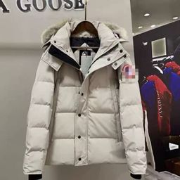 thumbnail for Foreign Trade Europe Station New M Knitted Spliced Down Jacket Spot Stand Up Collar Casual Fashion Unisex Jacket for Men and Women