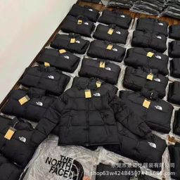 thumbnail for 700 Embroidered Couple's Warm and Cold-Resistant Cross-Border down Jacket for Men and Women, Available for Export