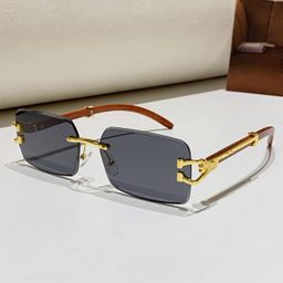 thumbnail for New frameless cut leopard head sunglasses men&#039;s Marine cross-border retro cheetah double beam square sunglasses women