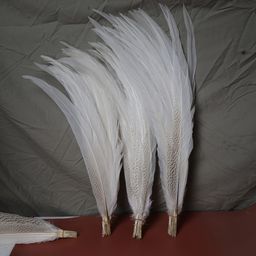 thumbnail for Wholesale natural silver chicken tail DIY jewelry accessories feather white mountain chicken tail feather stage mask decoration material