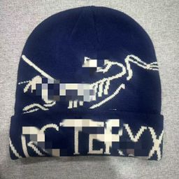 thumbnail for Cross-border autumn and winter new spot bird hats, versatile cold hats, knitted hats, embroidered warm bird hats, beanies