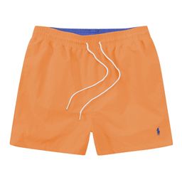 thumbnail for 2026 Summer Casual Surfing Loose Three-Point Shorts Home Sports Fitness Beach Quick Dry Beach Pants Men's Swim Trunks