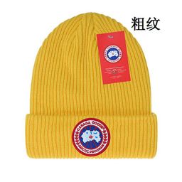 thumbnail for 跨境毛线帽子跨境女冬天大头围秋冬户外刺绣保暖套头外贸针织帽男