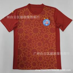 thumbnail for 2526 Brazilian League Jersey Palmeiras Flamenco Sao Paulo Santos Football Jersey