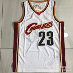 thumbnail for Camisa de basquete retrô em malha densa com bordado All-Star de comércio exterior James Curry McGrady Wade dropshipping