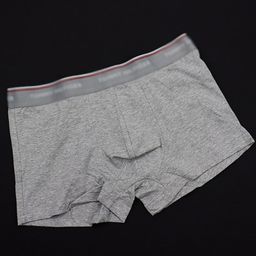 thumbnail for Boys' Cotton Underwear, Triangle and Square, 5 Colors, Wide Waistband, Trendy Brand Underwear, Cotton, Cross-Border Export Dropshipping