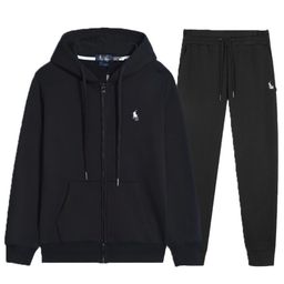 thumbnail for Raff pants RL cross-border spring and autumn hooded cardigans men's and women's suits zipper embroidered pony coat cardigan sweatshirt