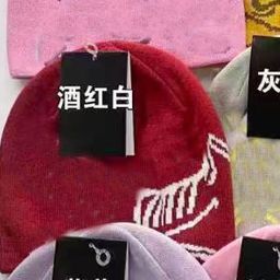 thumbnail for Autumn and winter: R letter jacquard beanie, thickened large version of the cuffed men's and women's versatile warm pullover hat, bird cold hat~
