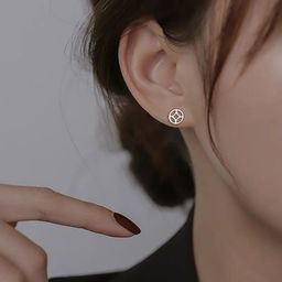 thumbnail for Mini Invisible 925 Silver Earrings 2025 New Earrings Niche Design Ear Bone Nail Ear Holes Earrings for Women