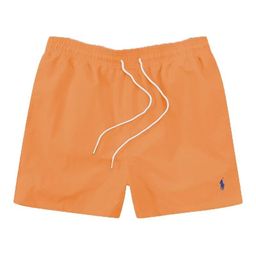 thumbnail for Summer RL embroidered polo shorts, men's surf quick-drying three-point pants, sports beach pants, men's casual shorts