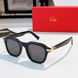 thumbnail for Kajia European and American INS fashion panel frame sunglasses, men's and women's celebrity Xiaohongshu style sunglasses CT05363