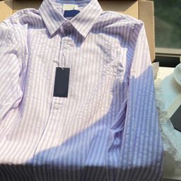 thumbnail for Fall 2025 Blue Striped Cotton and Linen Long Sleeve Shirt Loose Thin Linen Shirt Women's Casual Top