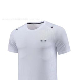 thumbnail for Ice Silk Quick-Drying T-Shirt Men's Loose Sports Round Neck Short-Sleeved 2024 Spring and Summer Ready-Made Trendy Brand Loose-Fitting Half-Sleeve