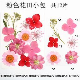 thumbnail for Triumphant diy glue drop mold plant dried flower embossed material real flower leaf specimen bookmark Amazon