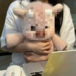 thumbnail for 跑跑小香猪玩偶苏高地小牛毛绒玩具安抚陪睡抱枕外贸娃娃公仔批发