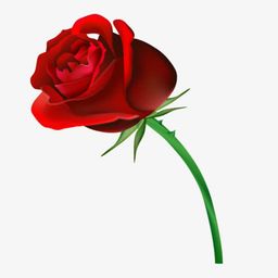 thumbnail for Rose Seeds Colorful Rose Flower Seeds Four Seasons Balcony Potted Plants Mixed Color Flower Seeds Ornamental Plants