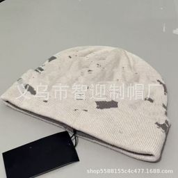 thumbnail for 25动物家高版毛线帽子秋冬户外保暖护耳针织帽提花冷帽堆堆帽批发