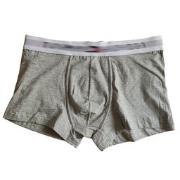 thumbnail for Boys' Cotton Underwear, Triangle and Square, 5 Colors, Wide Waistband, Trendy Brand Underwear, Cotton, Cross-Border Export Dropshipping
