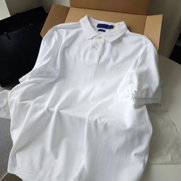 thumbnail for New Entry Luxury Business Pure Cotton Short-sleeved T-shirt Pony Embroidered Two-button POLO Shirt Men&#039;s and Women&#039;s Top Commuter